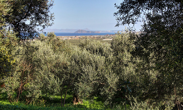 ΑΝΑΤΟΛΙΚΟ ΟΙΚΟΠΕΔΟ ΜΕ ΘΕΑ ΣΕ ΒΟΥΝΟ & ΘΑΛΑΣΣΑ