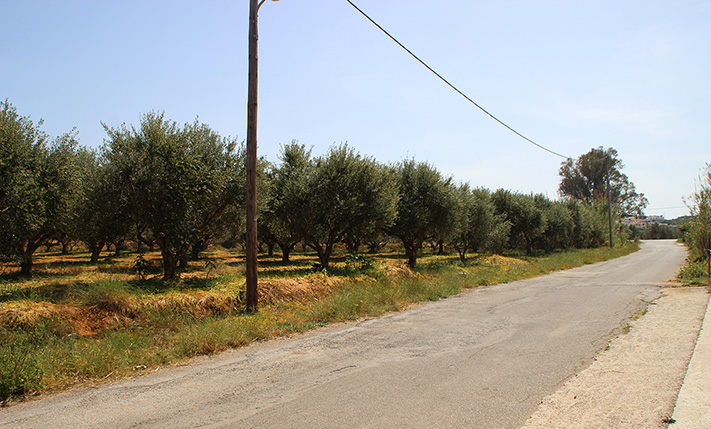 PLOT IN A PRIVILEGED SEASIDE LOCATION