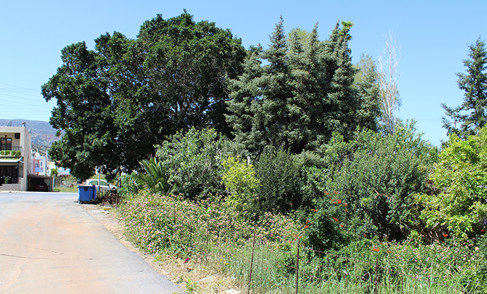 PLOT WITH GOOD POTENTIAL IN A SEASIDE AREA