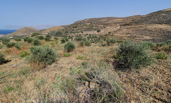 UNOBSTRUCTED DIRECT SEA VIEWS