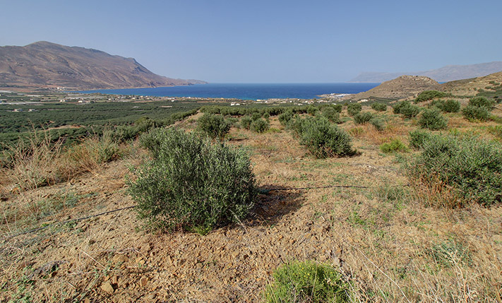 ΑΝΕΜΠΟΔΙΣΤΗ ΑΠΕΥΘΕΙΑΣ ΘΕΑ ΣΤΗ ΘΑΛΑΣΣΑ