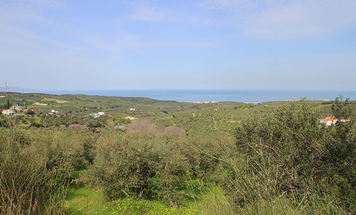 ΟΙΚΟΠΕΔΟ ΣΕ ΛΟΦΟ ΜΕ ΜΑΓΕΥΤΙΚΗ ΘΕΑ