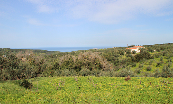 ΟΙΚΟΠΕΔΟ ΣΕ ΛΟΦΟ ΜΕ ΜΑΓΕΥΤΙΚΗ ΘΕΑ