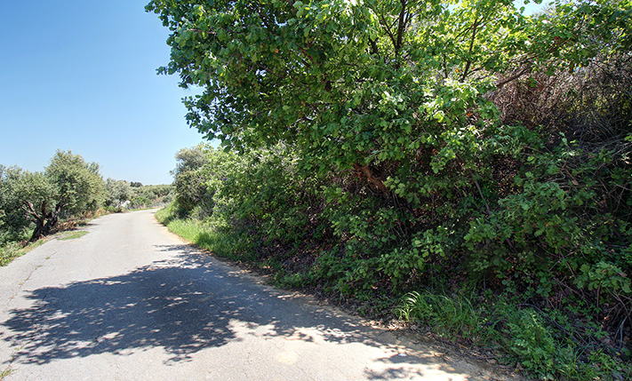 GRST AM HANG MIT ATEMBERAUBENDEM BLICK