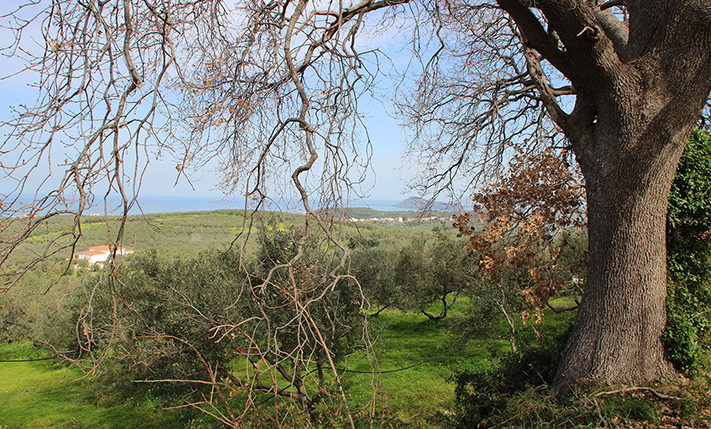 ΟΙΚΟΠΕΔΟ ΣΕ ΛΟΦΟ ΜΕ ΜΑΓΕΥΤΙΚΗ ΘΕΑ