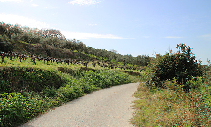 ΟΙΚΟΠΕΔΟ ΣΕ ΛΟΦΟ ΜΕ ΜΑΓΕΥΤΙΚΗ ΘΕΑ