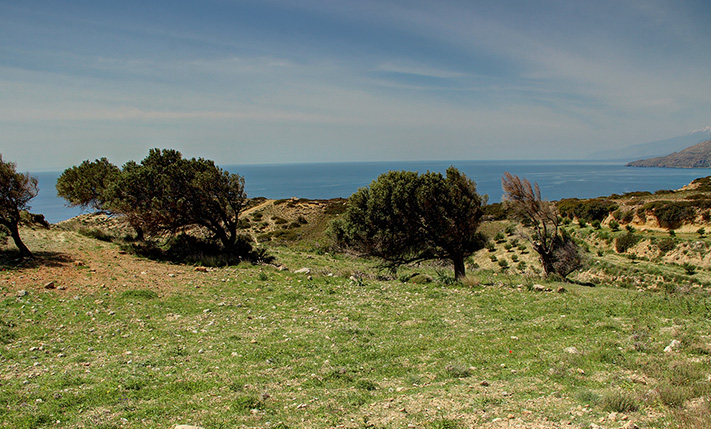 3 ADJACENT PLOTS CLOSE TO LIGRES BEACH