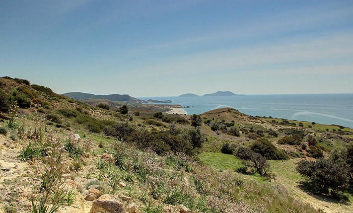 3 ADJACENT PLOTS CLOSE TO LIGRES BEACH