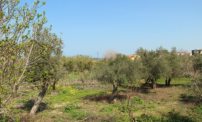 ΕΠΑΓΓΕΛΜΑΤΙΚΟ ΟΙΚΟΠΕΔΟ ΚΟΝΤΑ ΣΤΗ ΘΑΛΑΣΣΑ