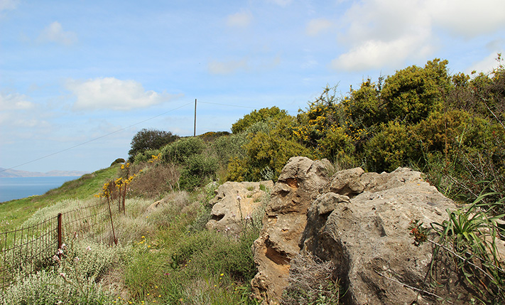 ΟΙΚΟΠΕΔΟ ΣΕ ΚΟΡΥΦΗ ΛΟΦΟΥ ΜΕ ΜΑΓΕΥΤΙΚΗ ΘΕΑ