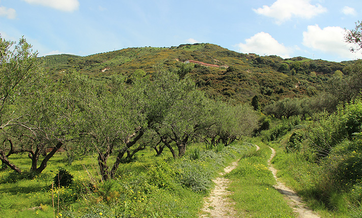 ΕΚΤΑΣΗ ΑΝΑΜΕΣΑ ΣΤΟ ΚΟΛΥΜΠΑΡΙ ΚΑΙ ΤΗΝ ΚΙΣΣΑΜΟ