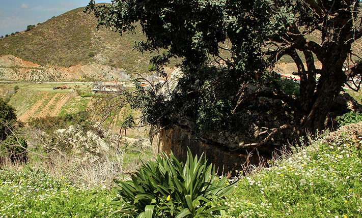 LAND PARCEL BETWEEN KOLIMBARI AND KISSAMOS