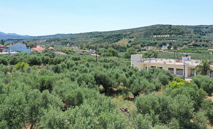 LAND WITH A PERMIT 4 KM FROM TAVRONITIS