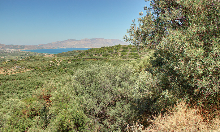 ΟΙΚΟΠΕΔΟ ΜΕ ΟΜΟΡΦΗ ΘΕΑ ΕΞΩ ΑΠΟ ΤΗΝ ΚΙΣΣΑΜΟ