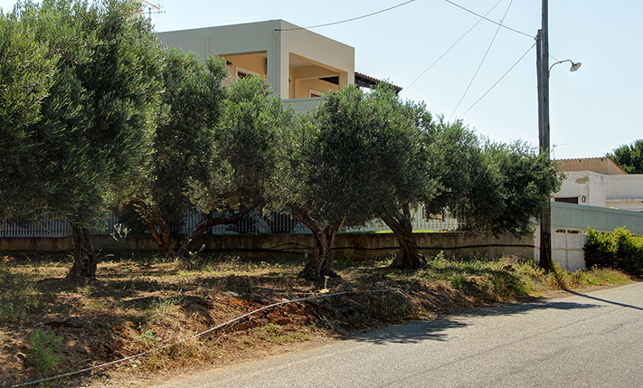 ΟΙΚΟΠΕΔΟ ΜΕ ΘΕΑ ΣΕ ΩΡΑΙΑ ΠΕΡΙΟΧΗ