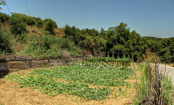 ΕΝΤΟΣ ΟΙΚΙΣΜΟΥ ΜΕ ΔΥΝΑΤΟΤΗΤΑ ΚΑΤΑΤΜΗΣΗΣ.