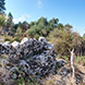 PLS0457 - image 7