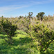 PLS0465 - image 1 PLS0465 - image 1