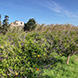 PLS0465 - image 2 PLS0465 - image 2