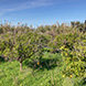 PLS0465 - image 3 PLS0465 - image 3