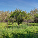 PLS0465 - image 6 PLS0465 - image 6