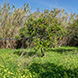 PLS0465 - image 7 PLS0465 - image 7