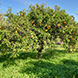 PLS0465 - image 8 PLS0465 - image 8