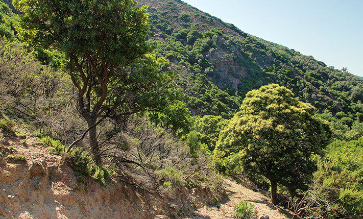 LARGE PARCEL IN A REMOTE VALLEY
