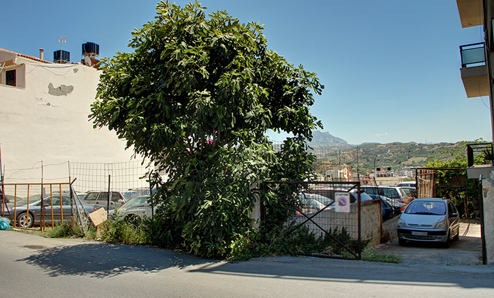 DEVELOPMENT LAND IN A RESIDENTIAL REGION