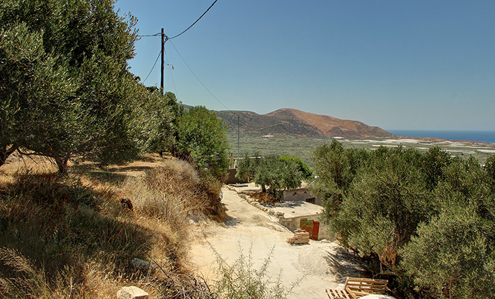 ΥΠΕΡΥΨΩΜΕΝΟ ΜΕ ΘΕΑ ΣΤΑ ΦΑΛΑΣΑΡΝΑ