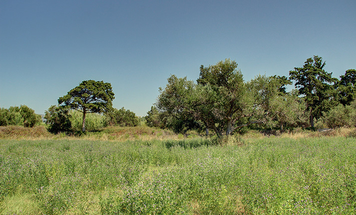 ΕΠΕΝΔΥΣΗ ΜΕ ΠΡΟΟΠΤΙΚΕΣ ΜΕΛΛΟΝΤΙΚΗΣ ΥΠΕΡΑΞΙΑΣ