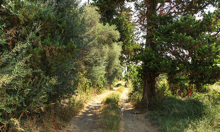 ΤΡΙΑ ΑΓΡΟΤΕΜΑΧΙΑ ΚΑΤΩ ΑΠΟ ΤΑ ΛΕΥΚΑ ΟΡΗ