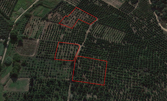 THREE PLOTS OF LAND UNDER THE WHITE MOUNTAINS