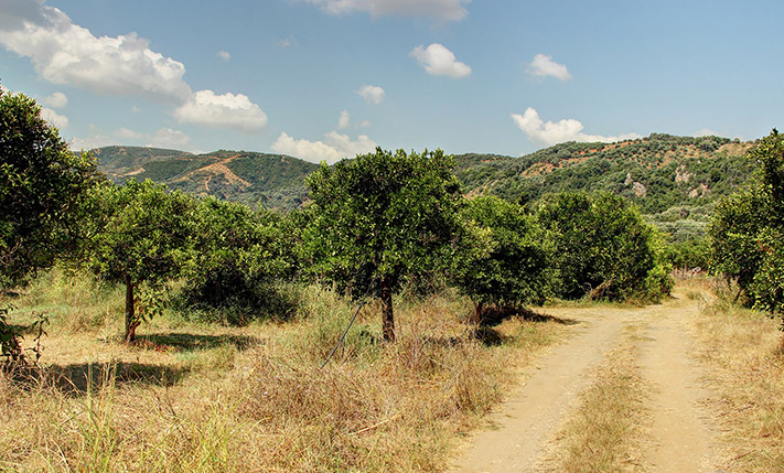THREE PLOTS OF LAND UNDER THE WHITE MOUNTAINS