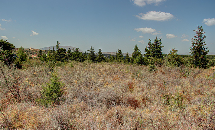 ΧΕΡΣΑ ΕΚΤΑΣΗ ΜΕΣΑ ΣΤΗ ΦΥΣΗ