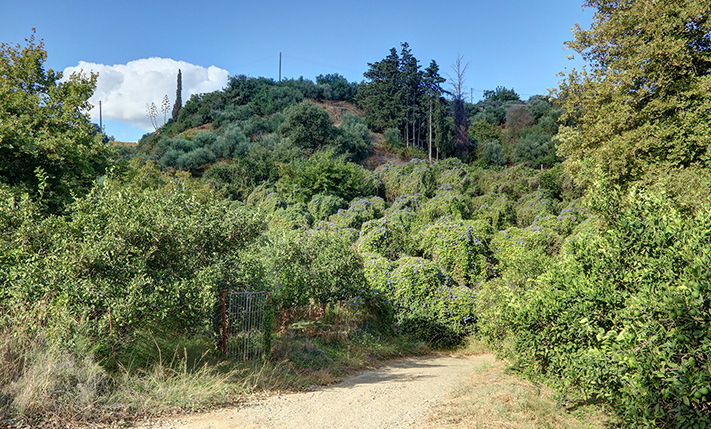 ΜΕ ΘΕΑ ΣΤΗ ΦΥΣΗ ΚΑΙ ΣΕ ΧΑΜΗΛΗ ΤΙΜΗ