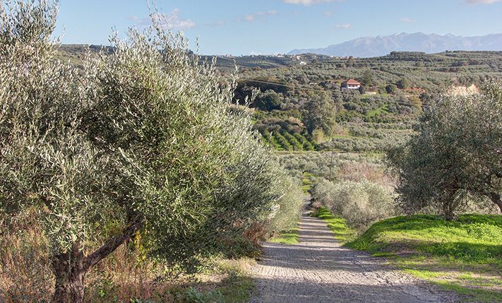 LAND WITH SEA VIEWS & ACCESS BY 2 ROADS