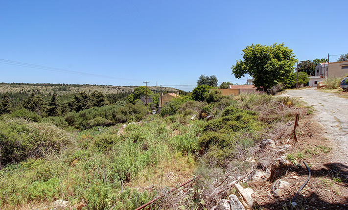 WITH PERMIT ISSUED FOR A HOUSE WITH POOL