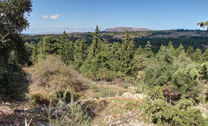 WITH PERMIT ISSUED FOR A HOUSE WITH POOL