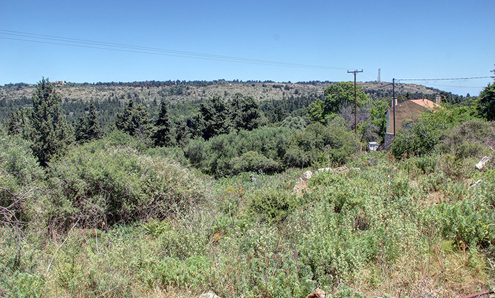 WITH PERMIT ISSUED FOR A HOUSE WITH POOL