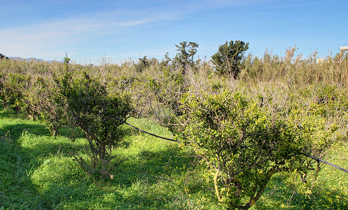 ΑΚΙΝΗΤΟ ΣΕ ΤΟΥΡΙΣΤΙΚΗ ΠΕΡΙΟΧΗ ΚΟΝΤΑ ΣΕ ΠΑΡΑΛΙΑ