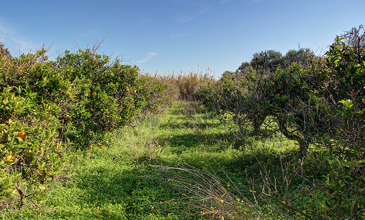 ΑΚΙΝΗΤΟ ΣΕ ΤΟΥΡΙΣΤΙΚΗ ΠΕΡΙΟΧΗ ΚΟΝΤΑ ΣΕ ΠΑΡΑΛΙΑ