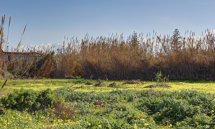LAND WITH SEA & MOUNTAIN VIEWS