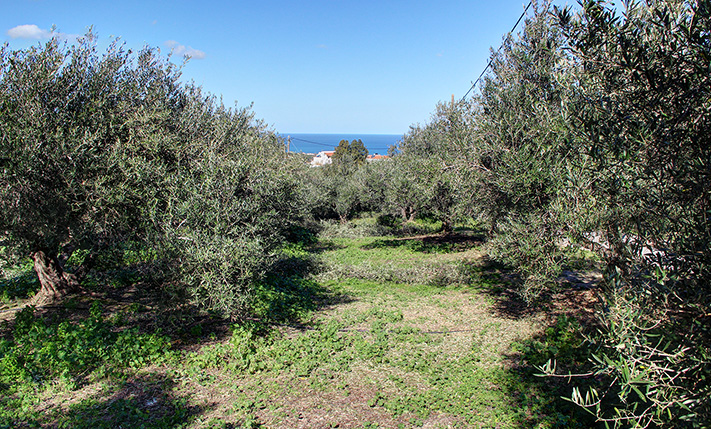 IDEALLY LOCATED FOR RESIDENTIAL DEVELOPMENT