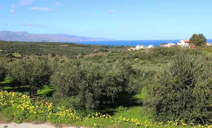 ΙΔΑΝΙΚΟ ΓΙΑ ΝΑ ΧΤΙΣΕΤΕ 1 Η 2 ΒΙΛΕΣ ΜΕ ΘΕΑ ΘΑΛΑΣΣΑ