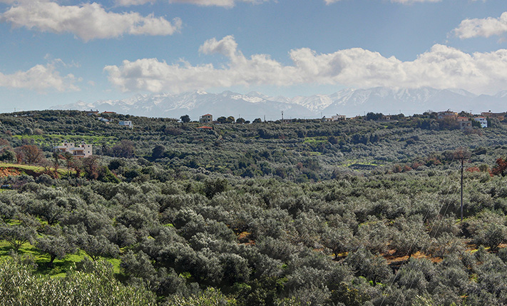 WITH VIEWS OF LUSH HILLS & THE WHITE MOUNTAINS