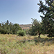 PLS0537 - image 3