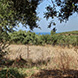 New Land Plot for Sale