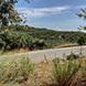 PLS0595 - image 8