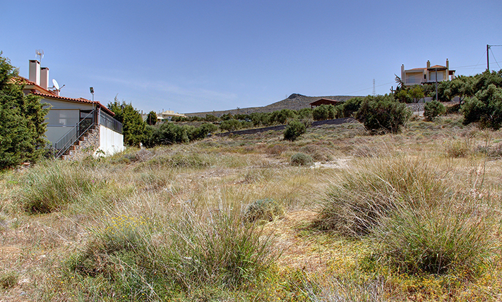 LUXURIOUS PLOT 20 MINUTES FROM HERAKLION
